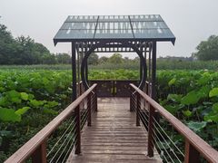 -东平国家森林公园