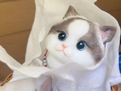 -中粮·祥云小镇