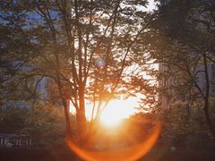 -中央广播电视总台(光华路办公区)