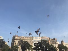 -加泰罗尼亚广场