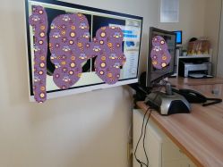 -韩国淼美颜皮肤管理官方直营店