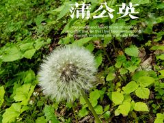 -五女山景区