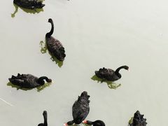 -天津东丽湖风景区