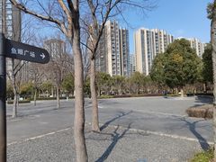 -南翔镇银翔湖公园