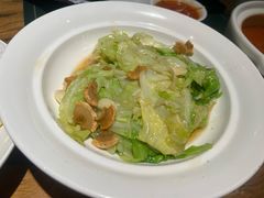 -老阿妈蒙古村·蒙古包·草原文化·歌舞表演(老君堂店)