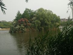 -新江湾城公园