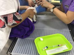 -瑞鹏宠物医院·眼科·皮肤·中兽医(大悦城分院)