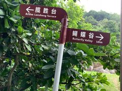 -阳台山森林公园