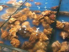 -上和臻品中国菜(花园街店)