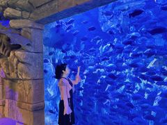 -哈尔滨波塞冬海底世界