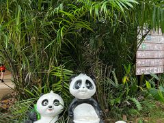 -海南热带野生动植物园