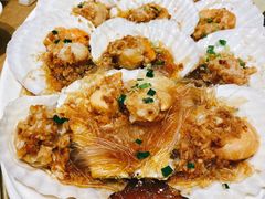 扇贝-金时代顺风大酒店(协泰店)
