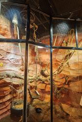 -Zoolung Zoolung动物主题公园(海信广场店)