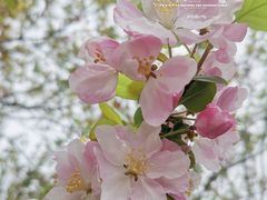 -上海滨江森林公园