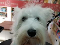 -宠物家(长阳店)