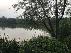 -白鹭湾湿地公园