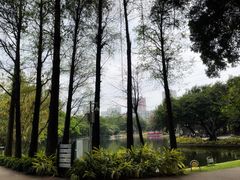 -晓港公园