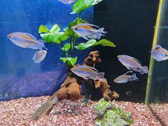 -沙沙哗啦海洋馆(华宇百花谷店)