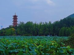 -云龙湖旅游景区