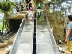 -南戴河国际娱乐中心