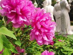 -宝鸡植物园