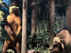 -陕西自然博物馆