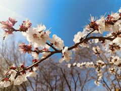 -北京金海湖景区