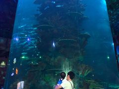 -青岛嘉年华主题乐园