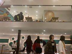 -飞行喵MR PILOT|猫舍·猫咖(静安大融城店)