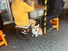 -大时代美食面馆