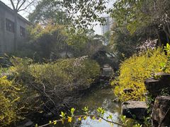 -水绘园