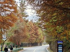 -南京市无想山景区