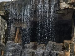 -海南热带野生动植物园