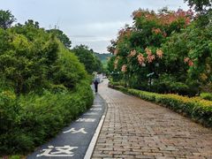 -南京老山国家森林公园