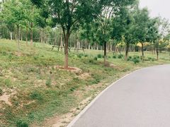 -东郊湿地公园
