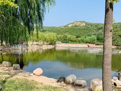 -五龙城郊森林公园