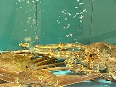 -天福海鲜酒楼·闽菜海鲜·宴请聚会(五四路店)