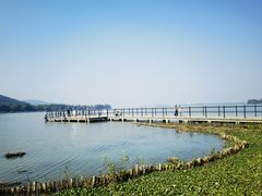 -长广溪湿地公园