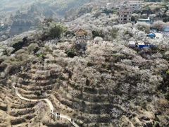 -广州市流溪河国家森林公园