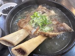 -莲洞本家