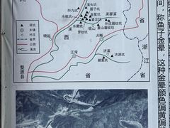 -老胡开文墨厂