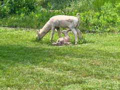 -南戴河国际娱乐中心