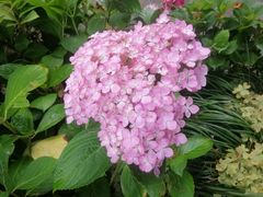 -南通博物苑-崇川人民公园