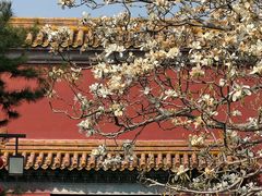 -北京市劳动人民文化宫(太庙)