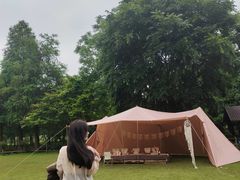 -南宁良凤江国家森林公园