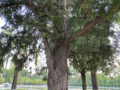 -中国农业博物馆
