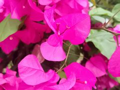 -KK ONE(京基滨河时代店)