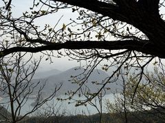 -北京十三陵国家森林公园蟒山景区