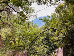 -黄山翡翠谷景区