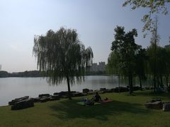 -南翔镇银翔湖公园